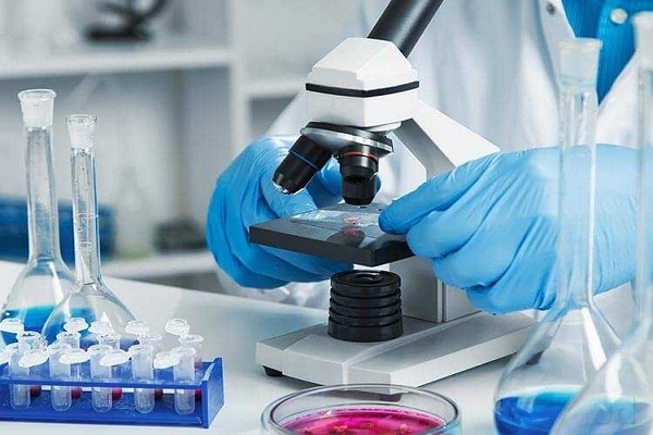Lab Services